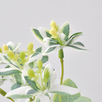 Artificial Silver-Edged Greenery Plant for Home & Hotel Decor