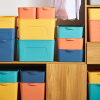 Lidded Plastic Storage Box for Toys, Books, and Sundries - Medium Size