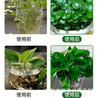 Hydroponic Plant Nutrient Solution for Growth, Rooting, and Flowering - Prevents Yellow Leaves