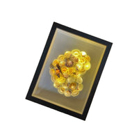 3D Shadow Box Frame for Dried Flowers, Shells, and Specimens with Display Stand