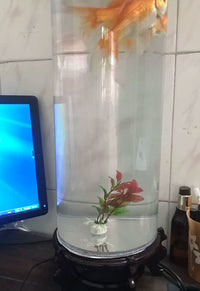 Cylindrical Glass Fish Tank for Desktop, Small Aquarium for Home and Office