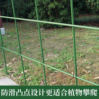 Garden Plant Support Trellis for Climbing Plants, Roses, Clematis, and Jasmine