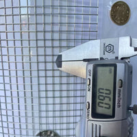 Hot-Dip Galvanized Steel Wire Mesh for Fencing and Enclosures