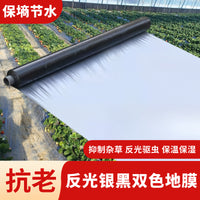 Silver-Black Agricultural Mulch Film for Planting, Thickened, Insulating, Reflective, Weed & Pest Control