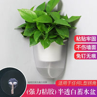 Oulinze Self-Watering Corner Wall-Mounted Planter for Indoor Plants