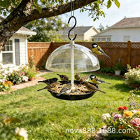 Outdoor Hanging Half-Sphere Bird Feeder for Garden & Patio Decoration