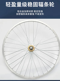 Lightweight Single Speed Bicycle Wheel Set with Aluminum Alloy Rim and Bearing Hub