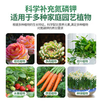 Plant Nutrient Solution for Flowers, Green Plants, and Hydroponics