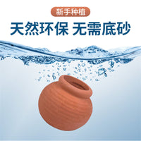 Aquarium Ceramic Pot for Aquatic Plants, Fish Tank Landscaping Ornament, Submersible Planting Ring for Beginners