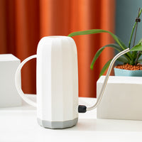 Long Spout Watering Can for Indoor Plants, Stainless Steel Curved Spout Watering Pot for Succulents and Garden