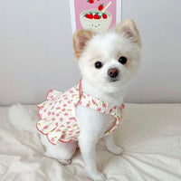 Pet Dog Cat Dress for Small Dogs Puppies Teddy Bichon Pomeranian
