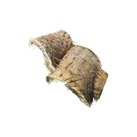 Rice Seedling Non-Woven Nursery Tray Liner Film for Agriculture