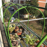 Mini Greenhouse Plant Cover for Winter Freeze Protection