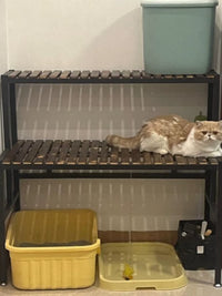 Balcony Solid Wood Multi-tier Cat Climbing Frame with Large Cat Condo and Iron Art Flower Stand, Two-Layer Multifunctional Pet Supplies Storage Shelf