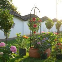 Foldable Iron Art Birdcage Trellis for Climbing Plants, Balcony & Garden Decor