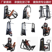 Commercial Gym Leg, Back, and Abdominal Strength Training Equipment