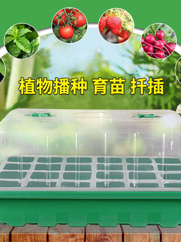 Large Thickened 24-Cell Seedling Tray with Lid for Succulents and Plant Propagation
