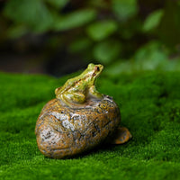 Miniature Frog Figurines for Garden & Micro Landscape Decor