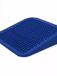 Inflatable Pet Rehabilitation Ramp for Muscle Training and Weight Transfer