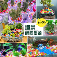 Natural Polished Pebbles for Planters, Aquariums, and Landscaping - Decorative Colorful Stones