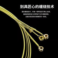 Acoustic Guitar Strings Set - Brass Wound Steel Core