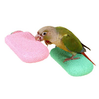Parrot Perch Stand with Grinding Stick for Small to Medium Birds