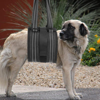 Pet Dog Rear Leg Support Harness for Injured Disabled Senior Dogs Rehabilitation Aid