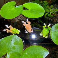 Realistic Frog Resin Ornament for Garden & Aquarium Decor