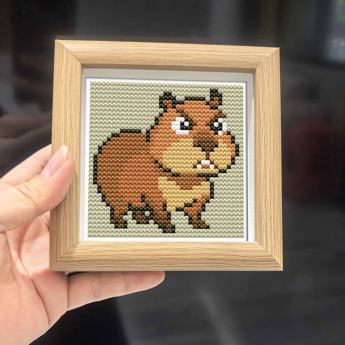 Cartoon Animal Angry Bala Cross Stitch Kit with Frame for Students and Beginners