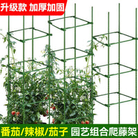 Garden Plant Support Stakes for Climbing Vines, Tomatoes, Peppers, and Eggplants