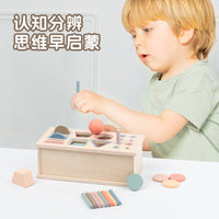 Montessori Wooden Geometric Shape Matching Toy for Toddlers 0-3 Years