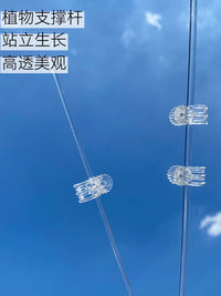 Clear Acrylic Plant Support Stakes and Clips for Climbing Plants and Orchids