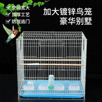 Large Galvanized Breeding Cage for Parrots and Mynahs, 60x42x55cm