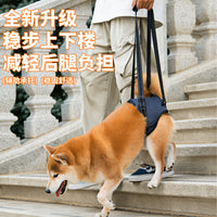 Pet Dog Rear Leg Support Harness for Injured, Disabled, or Elderly Dogs