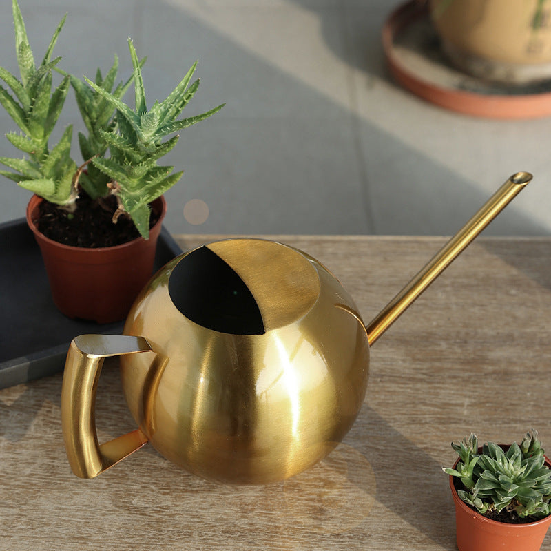 Spherical Stainless Steel Watering Can with Long Spout for Indoor & Outdoor Plants, 1000ml