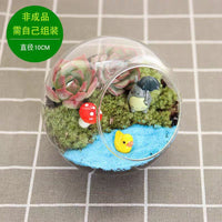 DIY Moss Terrarium Kit with Glass Bottle for Micro Landscape Decor