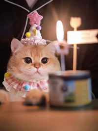Pet Birthday Bandana with Pom-Poms and Hat for Cats and Small Dogs