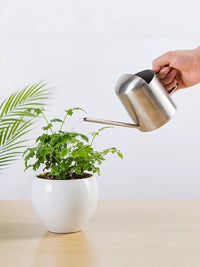 Stainless Steel Long Spout Watering Can for Indoor Plants, Succulents, and Kids - Mini 300ml to 1000ml
