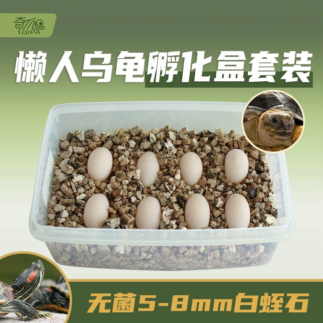 Vermiculite Reptile Egg Incubation Box for Lizards, Geckos, Snakes, and Turtles