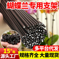Orchid Plant Support Stakes and Clips for Climbing Vines and Floral Arrangements