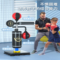 Punching Bag for Adults & Kids, Home Fitness Taekwondo Training Equipment with Gloves & Protective Gear