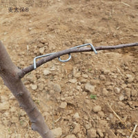 Fruit Tree Branch Spreader for Gardening and Training