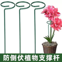 Garden Plant Support Stakes for Climbing Vines and Flowers, Anti-Toppling Plant Cages