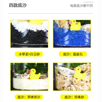 Self-Sustaining Ecosystem Betta Fish Tank Micro Landscape DIY Ornament