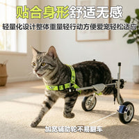 Pet Wheelchair for Disabled Dogs, Rehabilitation Walker for Hind Leg Support