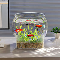 Clear Ecological Micro-Landscape Fish Tank with Base for Betta Fish and Turtles, Shatterproof