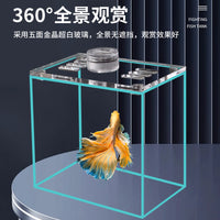 Betta Fish Tank Crystal Clear Glass Desktop Aquarium with Optional Lid and Light