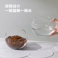 Elevated Glass Pet Bowl with Silicone Mat for Cats and Small Dogs, Tilted Design for Neck Protection