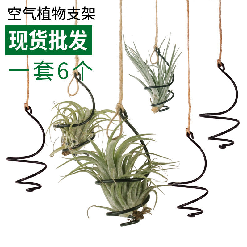 Metal Air Plant Holder, Tillandsia Display Stand, Whirlwind Shape, Hanging Planter for Soilless Plants