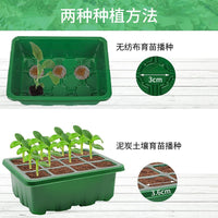 Seedling Starter Trays with Grow Lights and Transplanting Tools, 6/12-Cell Options